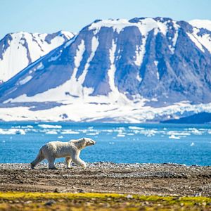 Le Lyrial_Allgemein & Bilder_außen