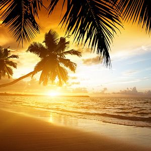 Freedom of the Seas Außenansicht