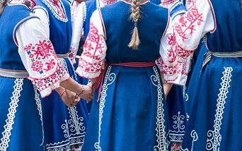 donau königin ab wien richtung delta