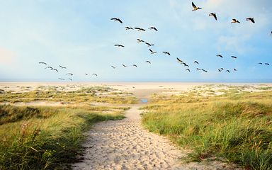 kurzreise skandinavische inseln