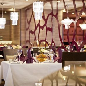 Amadeus Silver II Restaurant