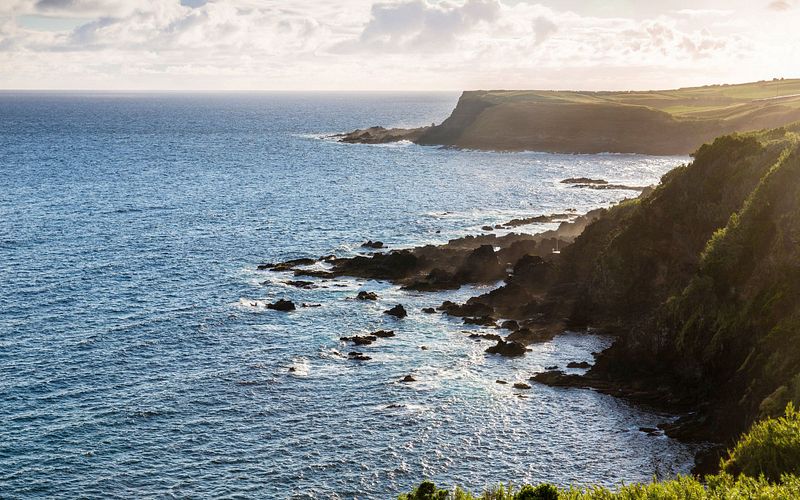 von der karibik nach hamburg