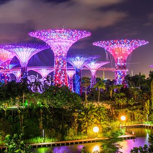 Garden by the Bay_Singapur AdobeStock_180455221©emperorcosar
