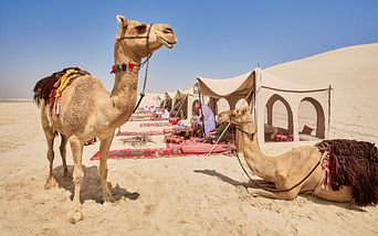 zauberhafte emirate und katar