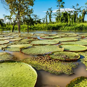 HANSEATIC spirit - Hapag-Lloyd Cruises - HANSEATIC spirit