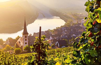mosel erlebnis