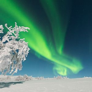 Lofoten Nordlicht Polarlicht Hamnoy
