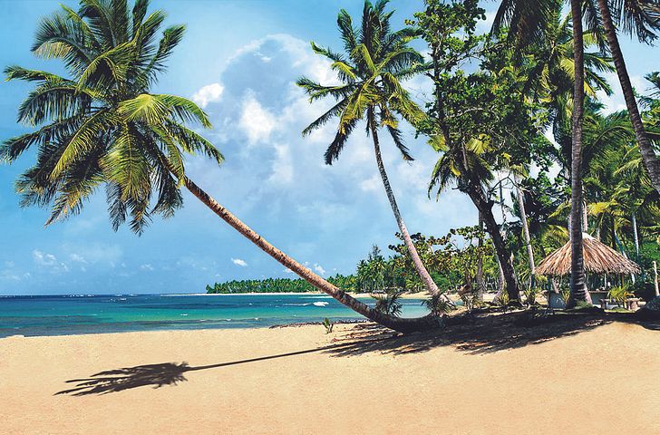 Impression zu AIDA Einzelkabinen Special - AIDAblu - Karibische Inseln