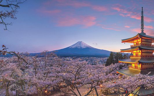 große japan-rundreise zur frühlingsblüte