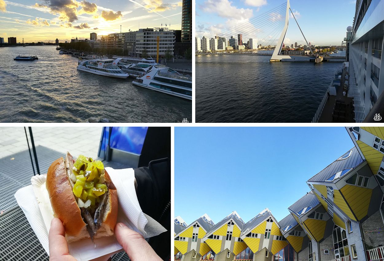 Impressionen aus Rotterdam