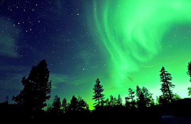 Nordlicht mit Bäumen