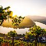 Mosel Impressionsbild