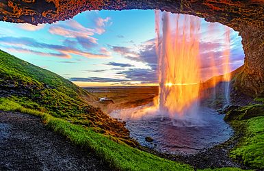 ALT