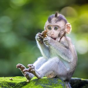 Silver Moon_Allgemein & Bilder_außen_©Silversea Cruises Ltd.