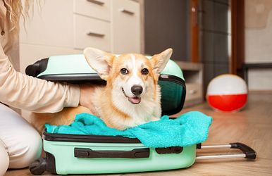 handgepäck – was darf rein und was nicht?