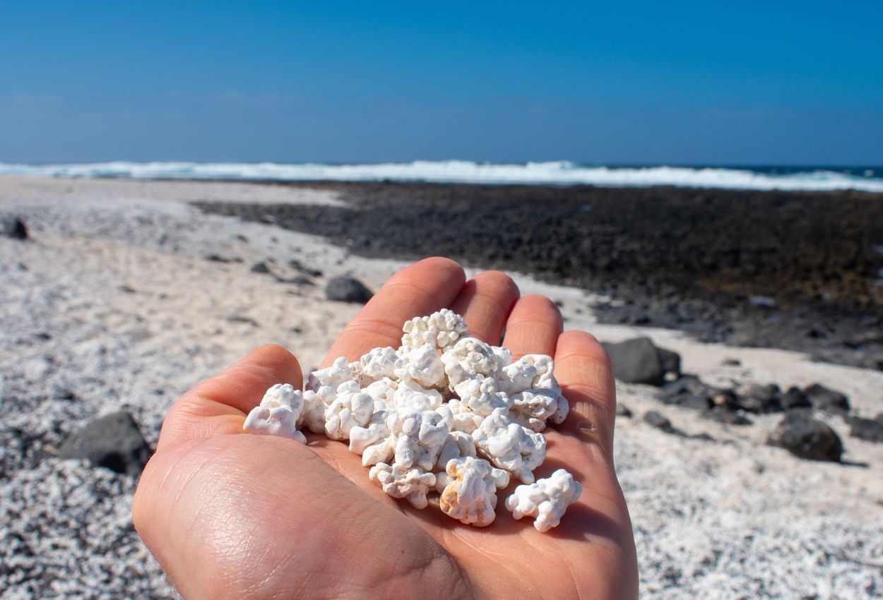 Popcorn Strand Fuerteventura