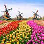 Frühlingsreisen mit A-ROSA Impressionsbild
