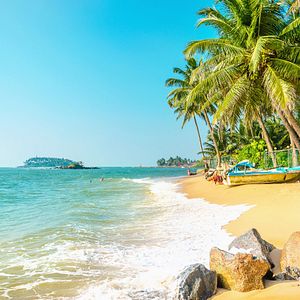 Garden by the Bay_Singapur AdobeStock_180455221©emperorcosar