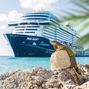 Mein Schiff 1 vor Aruba