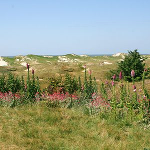 Amrum Leuchtturm