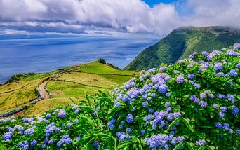 von kiel über die azoren in die karibik