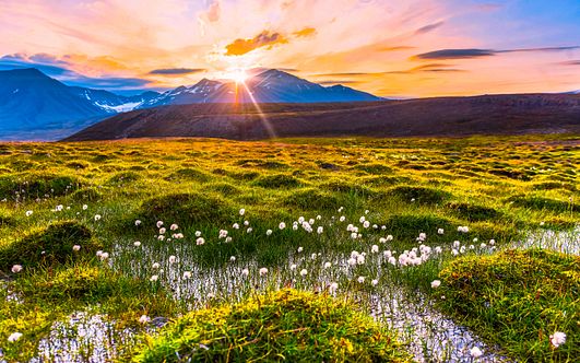 highlights am polarkreis