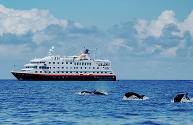 ms santa cruz ii
