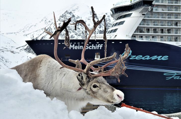 Impressionn zu Suiten Special Winter 2025/26 - Mein Schiff 3 - Skandinavischer Advent
