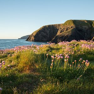 Blick auf Coverack im Cornwall