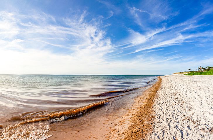 Impression zu AIDA Einzelkabinen Special - AIDAprima - Ostsee ab Kiel