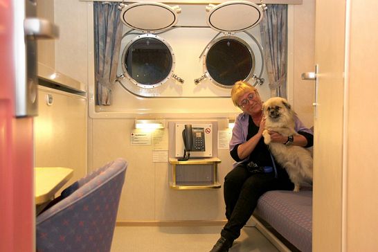 RICHARD WITH - Ohne Reederei - POLAR 2-Bett Außenkabine