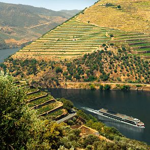 A-ROSA Alva Douro