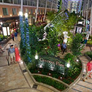 Oasis of the Seas - Royal Caribbean International - Oasis of the Seas