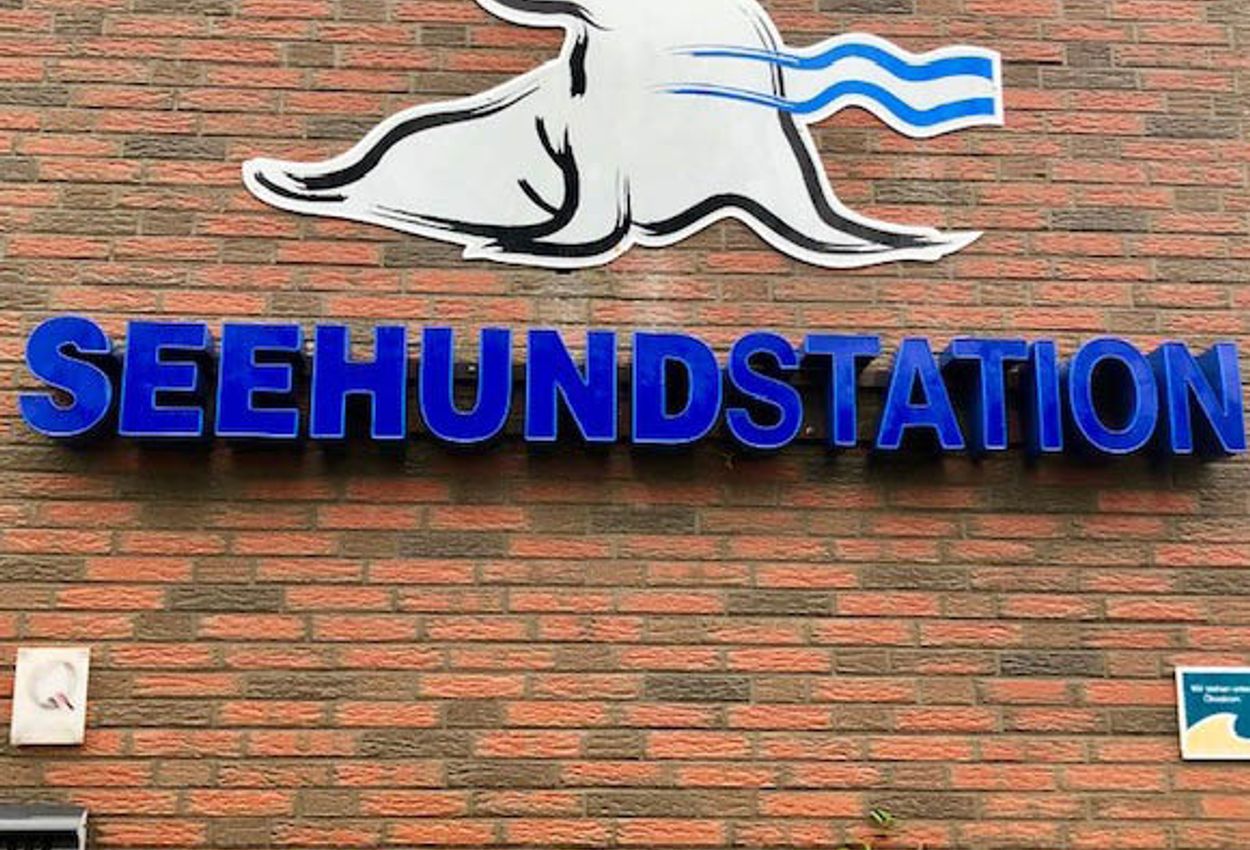 Seehundstation
