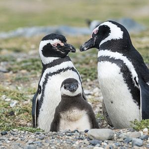 Torres del Paine Chile