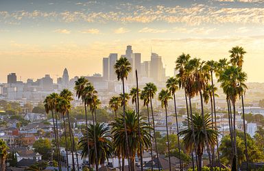 Los Angeles mit Palmen