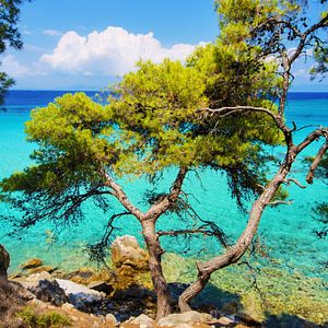 Chalkidiki Griechenland 