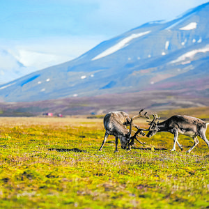 Spitzbergen