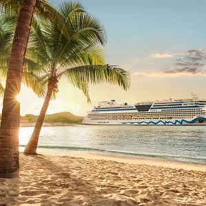 AIDAluna Strand Karibik Palmen