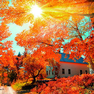 Indian Summer