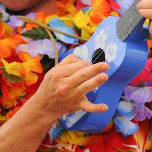 MS Hamburg von außen