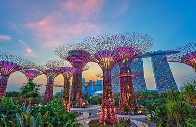 Gardens by the bay Singapur 
