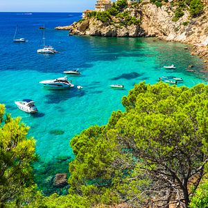 Mallorca Mandelblüte