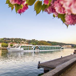 Amadeus Provence