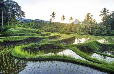 eine weltreise voller entdeckungen