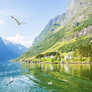 MS Rotterdam von außen