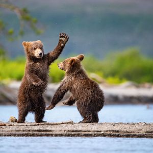 ms Noordam_Allgemein & Bilder_außen