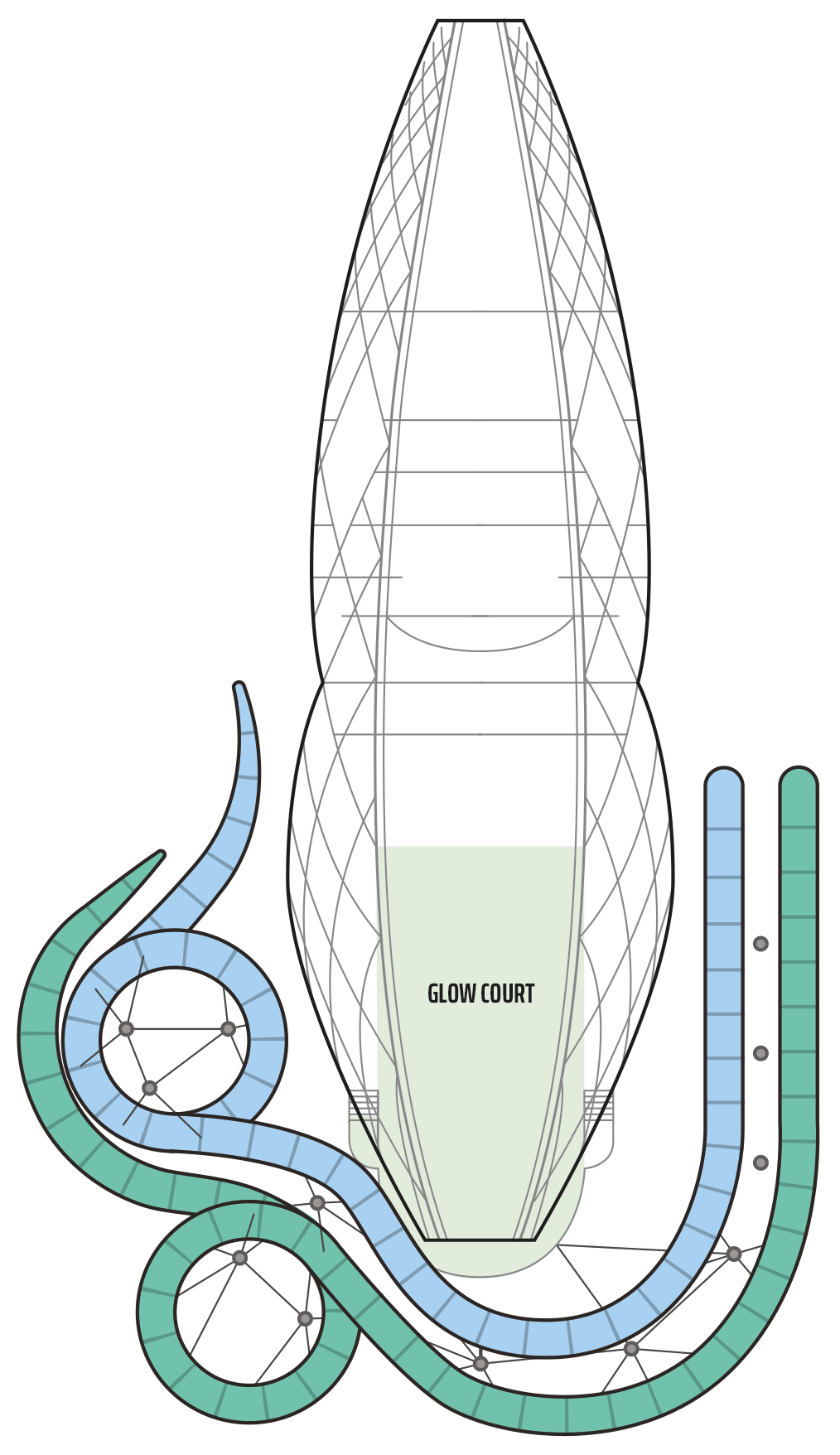 Norwegian Aqua - Norwegian Cruise Line - Deck 20 (Deck 20)