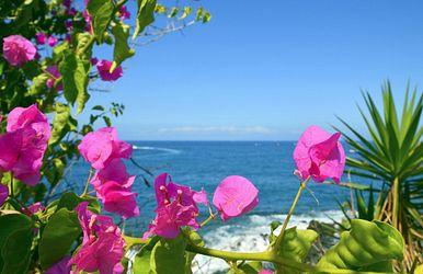 kanaren kreuzfahrten