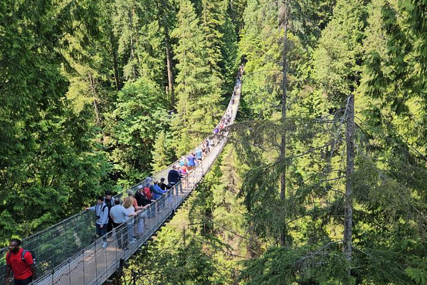 Suspension Bridge